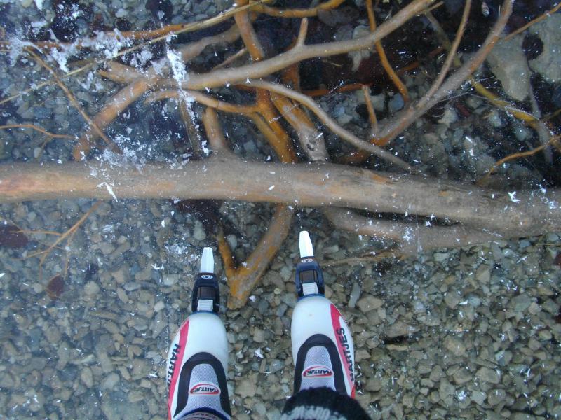 Bild 379.jpg